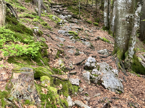 23-05-23 10-06-21 5569